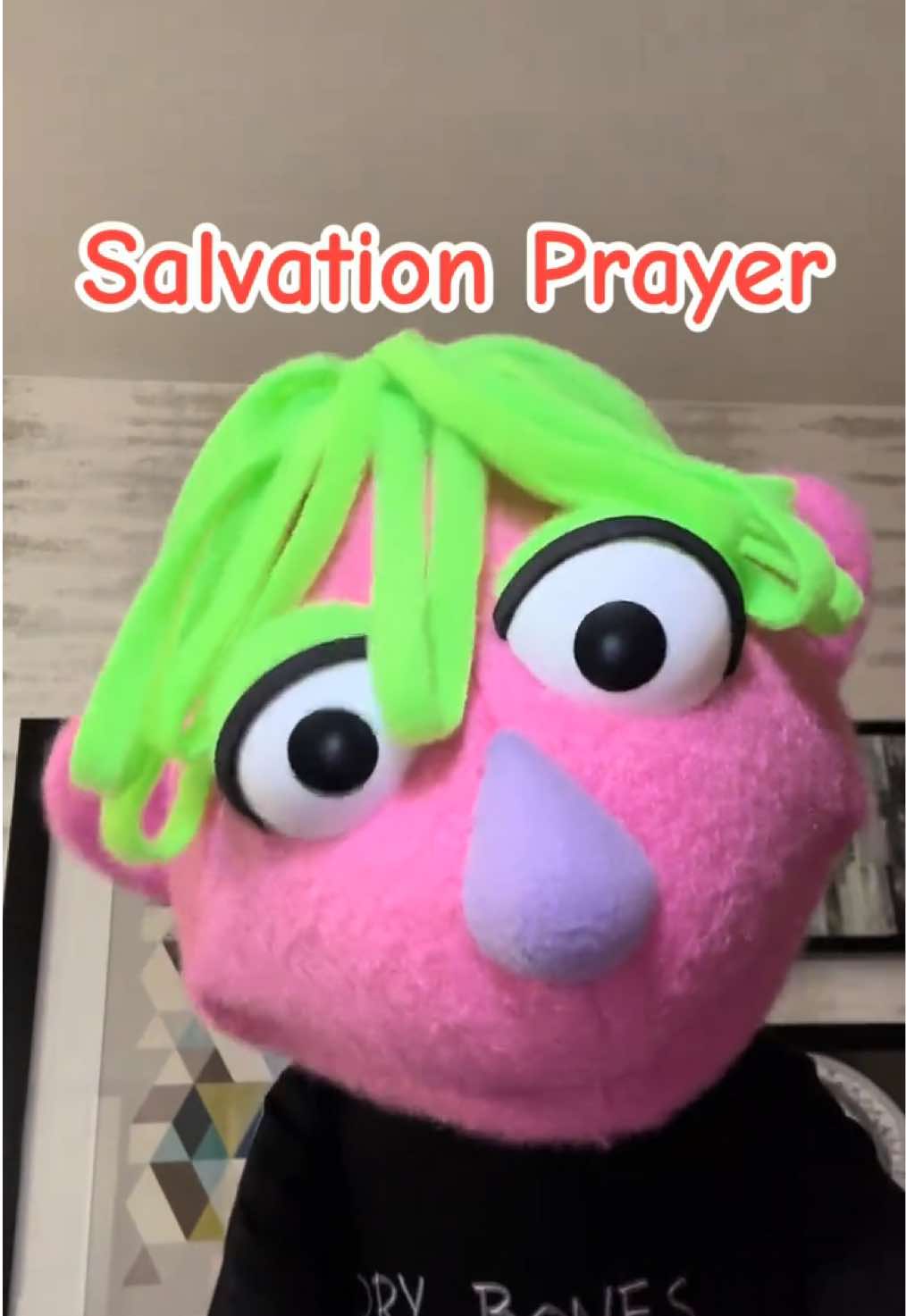@𝘋𝘪𝘯𝘹 𝘵𝘩𝘦 𝘗𝘶𝘱𝘱𝘦𝘵
