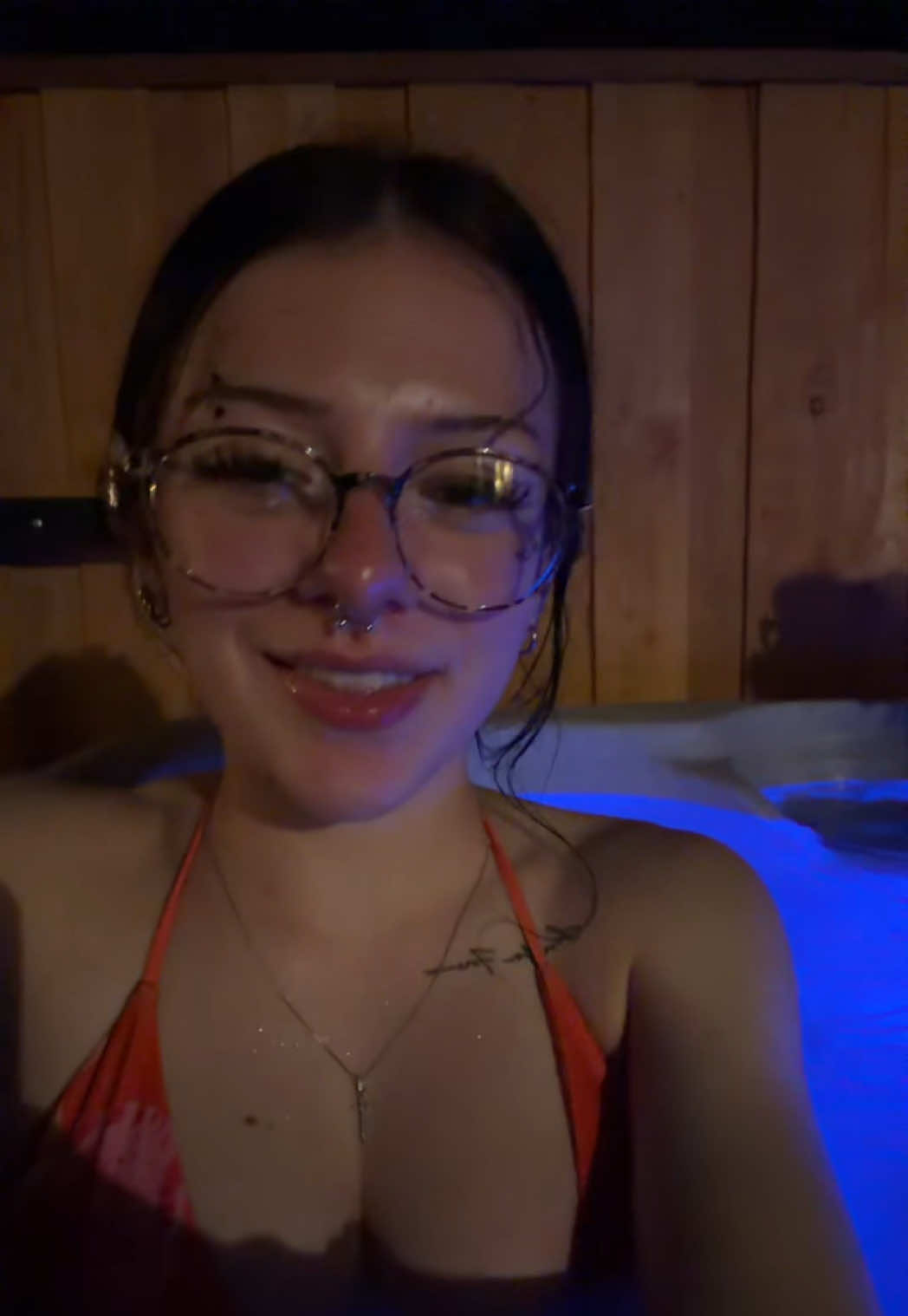 @gatolife2016