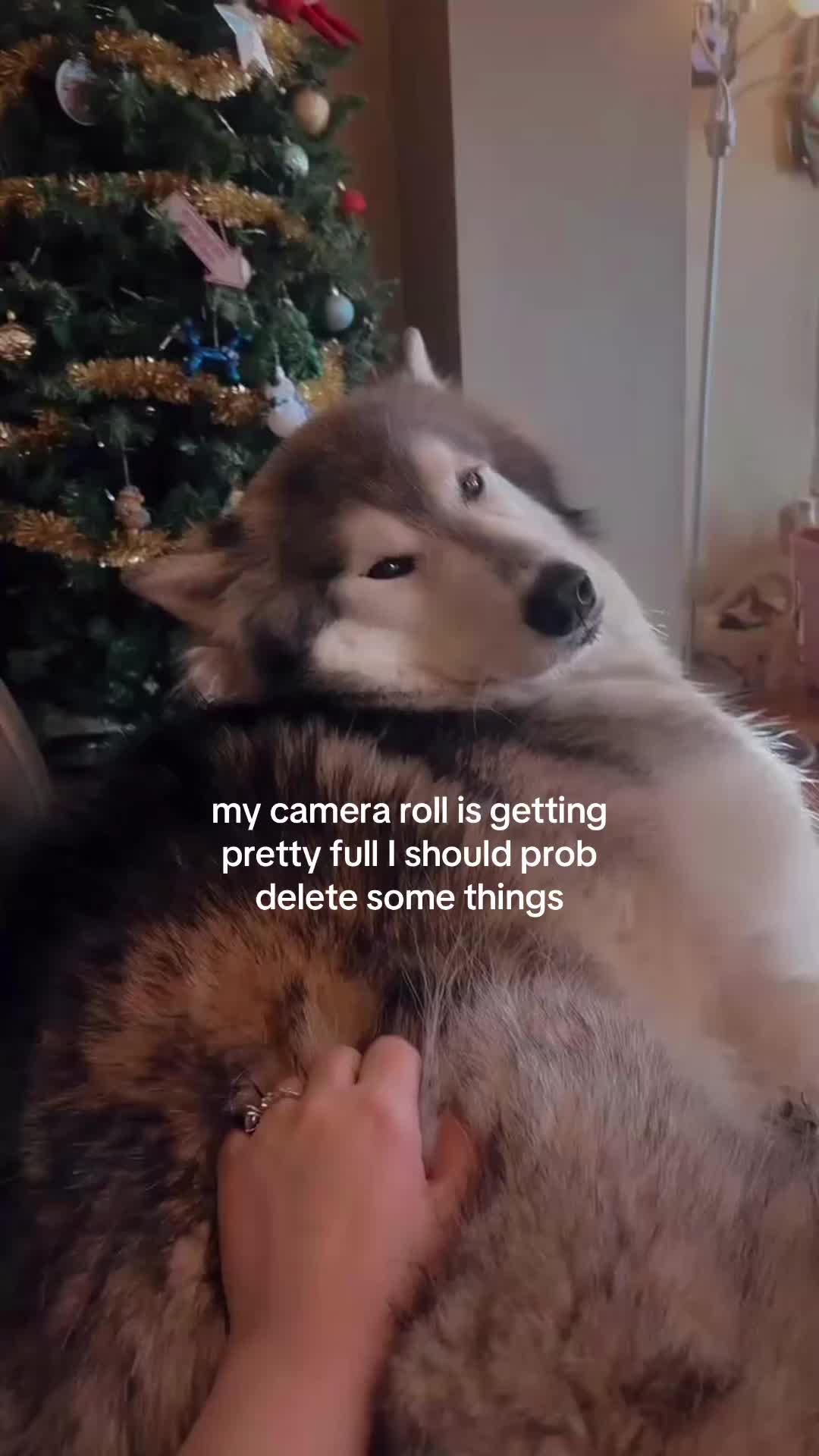 @kelc ♥️