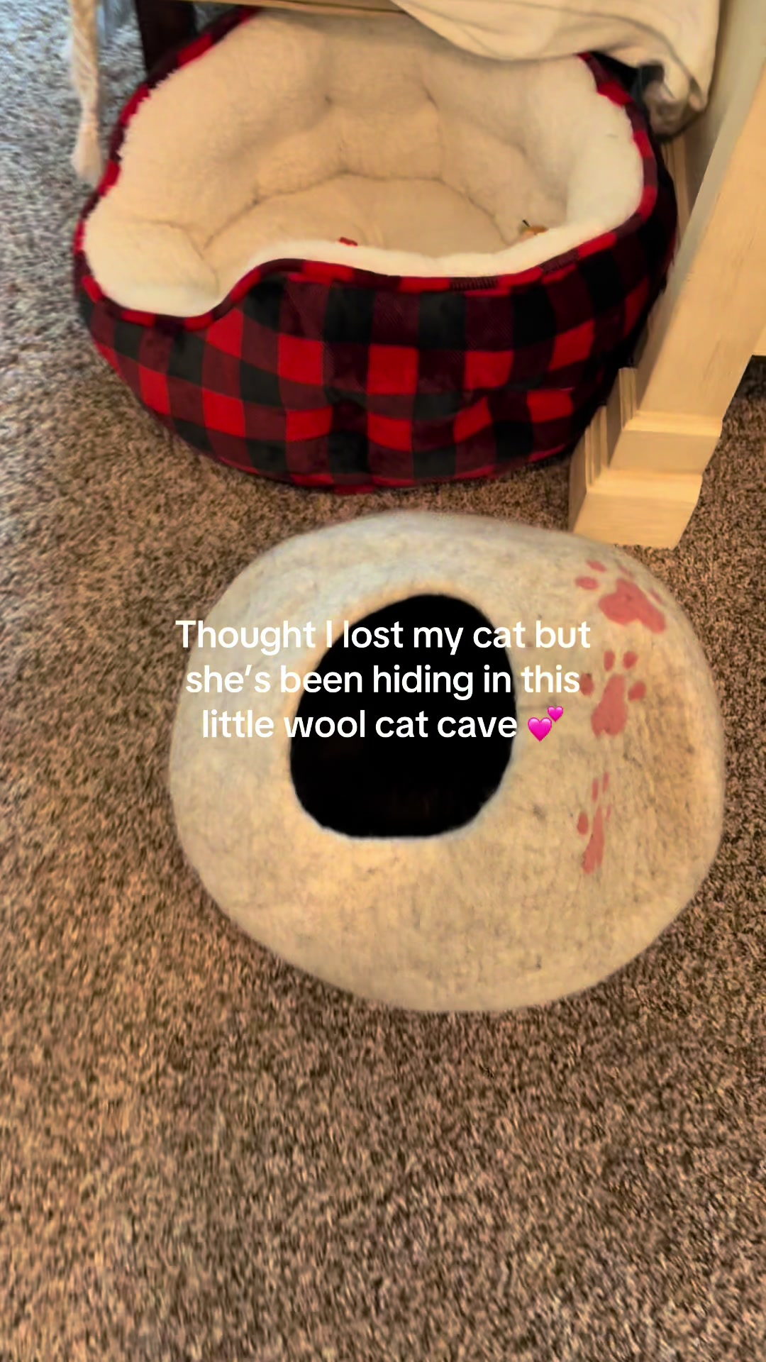 @Sydlikeaustralia