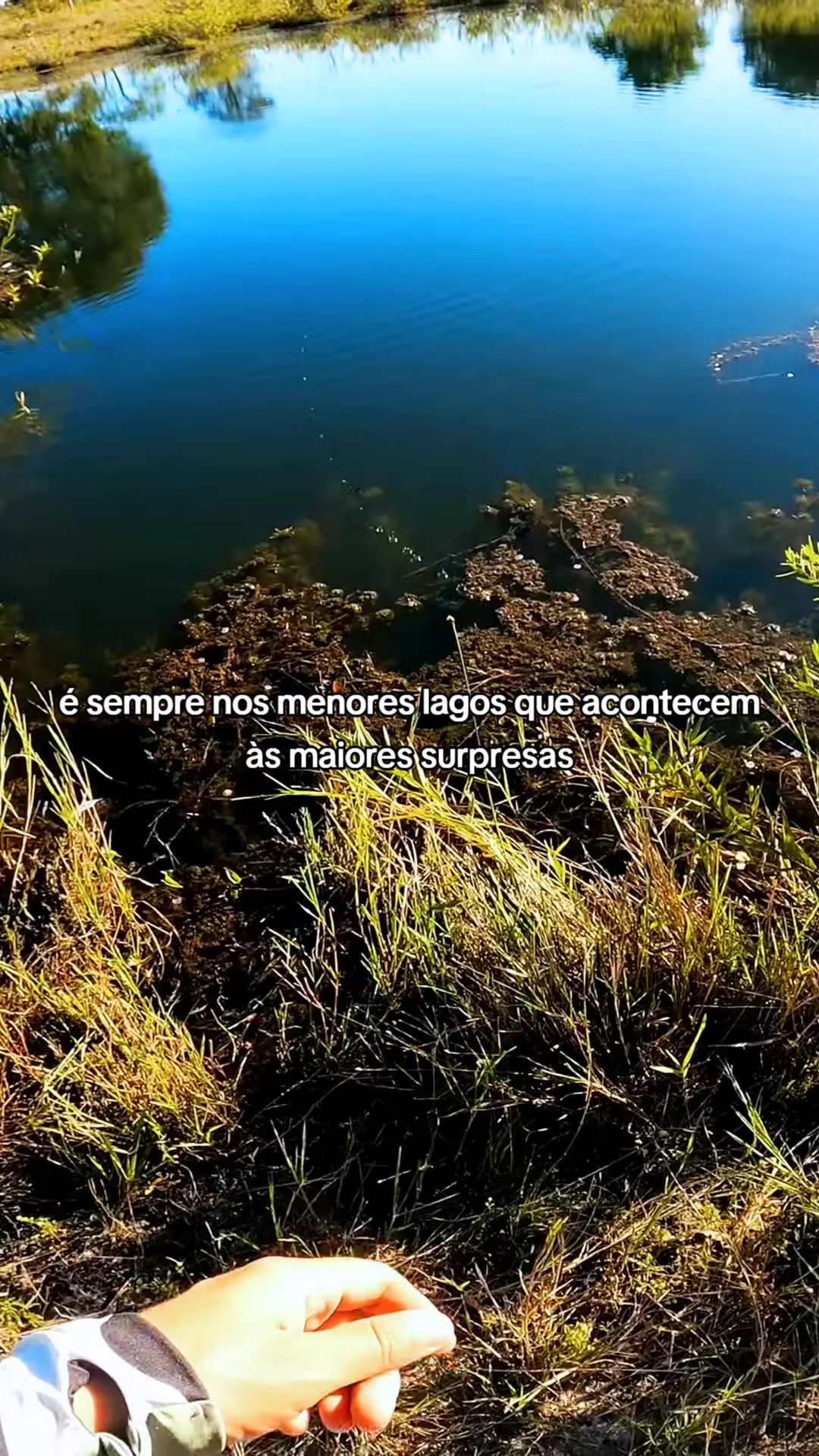 @Pesca Careiro