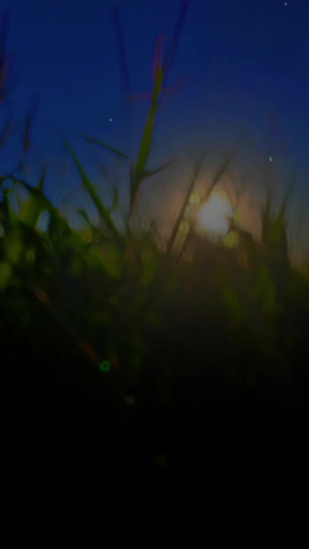 @♡آمــہ الز𝄠ين ♡