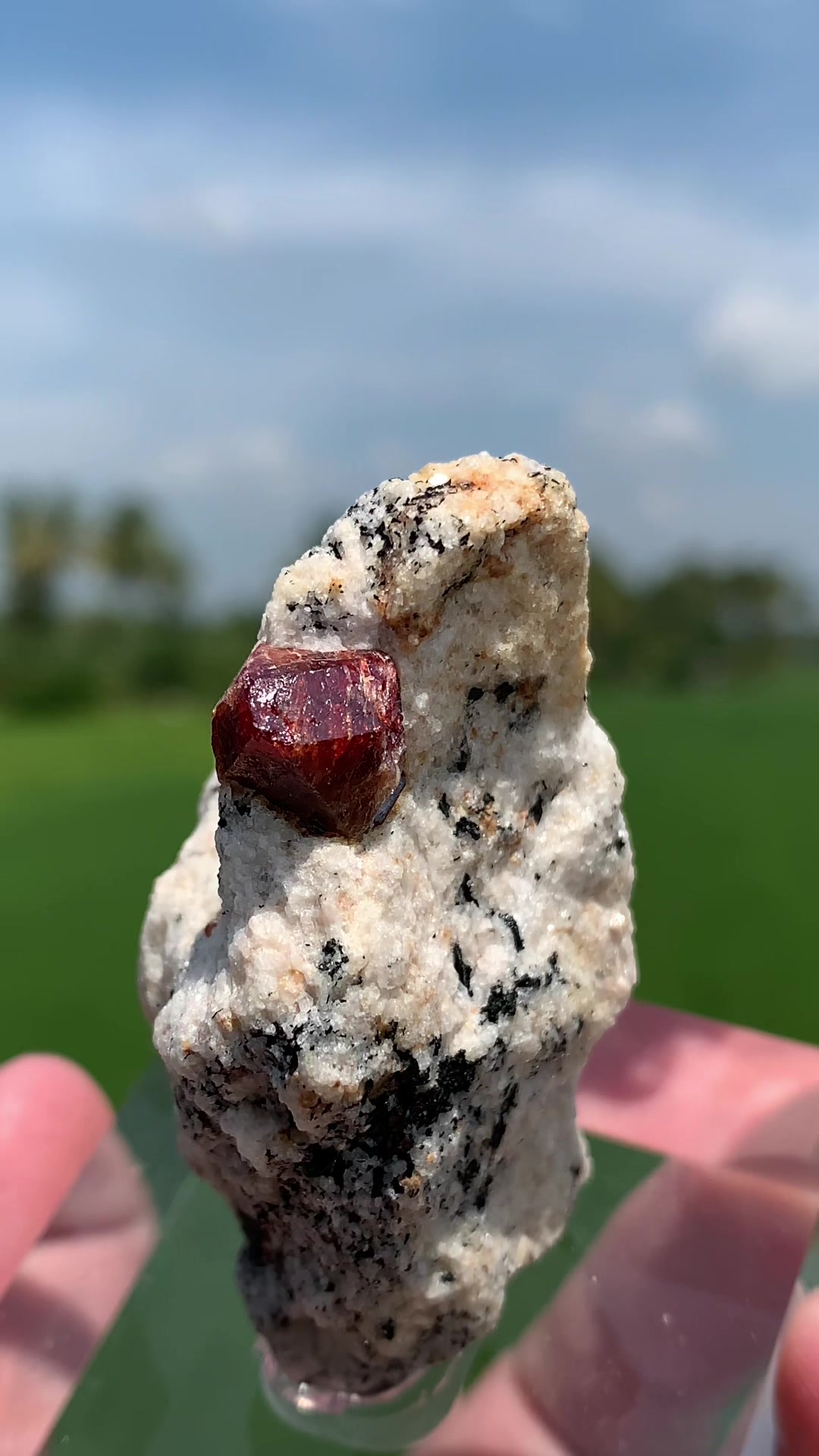 @Pocket of Crystals