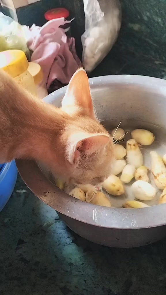 @Preimal🧿🕊️