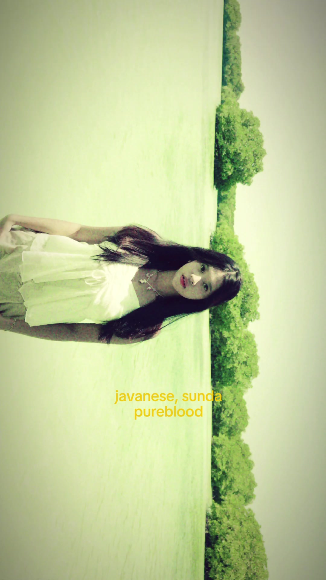 @runa 🪽