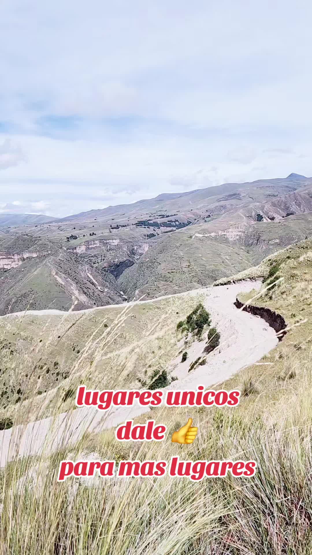 @david luna huamani
