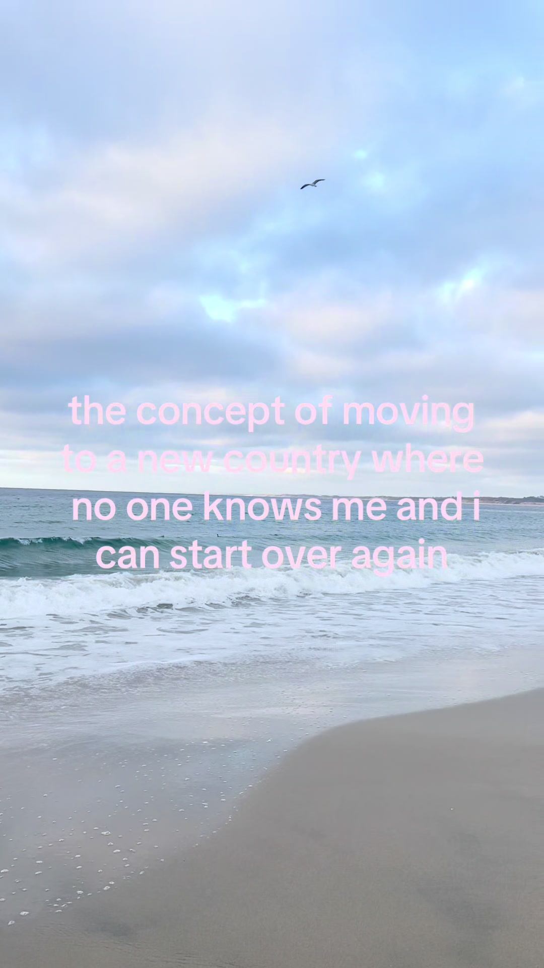 @kim ˚。୨୧⋆˚