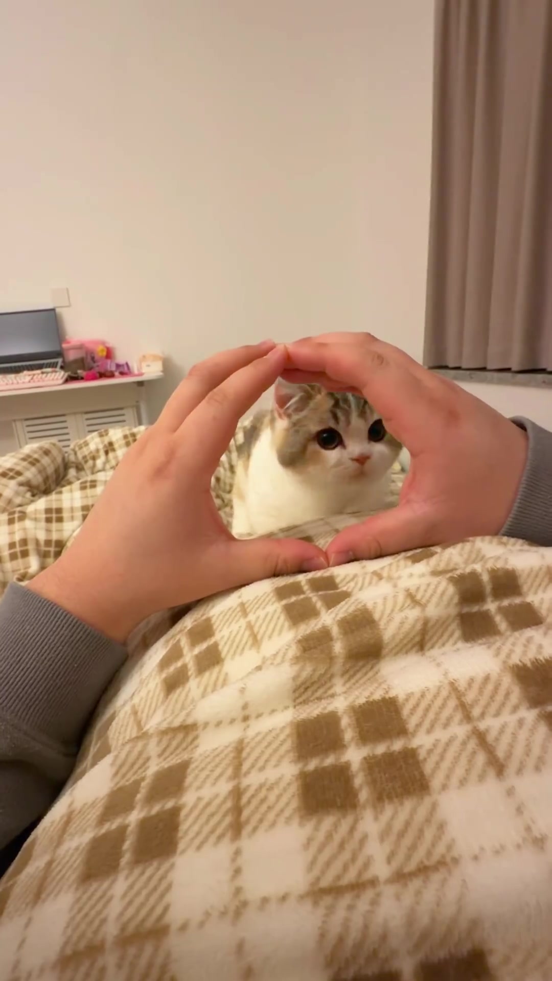 @เจียงเจียงคังคัง