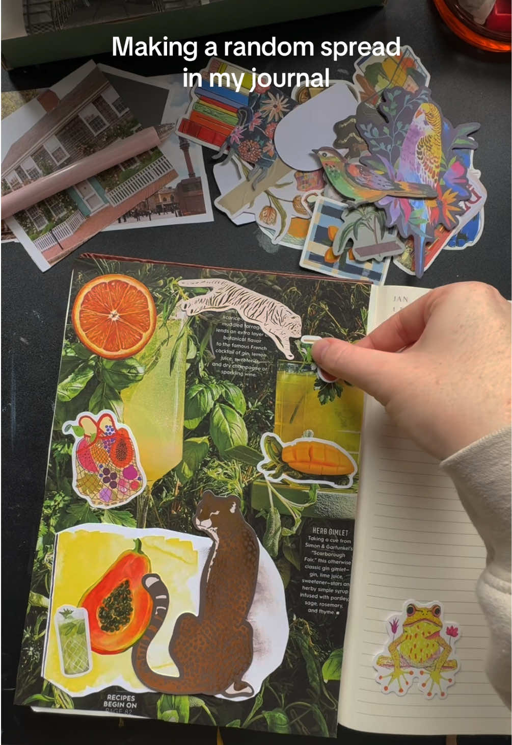 @Sophie // Writer + Illustrator