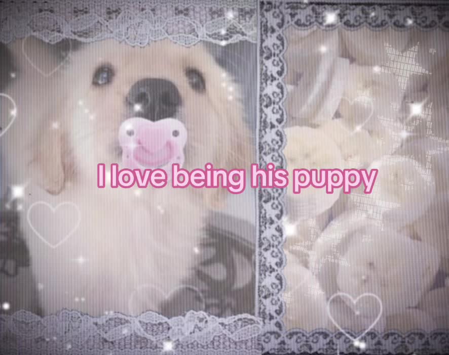 @Locket >u<