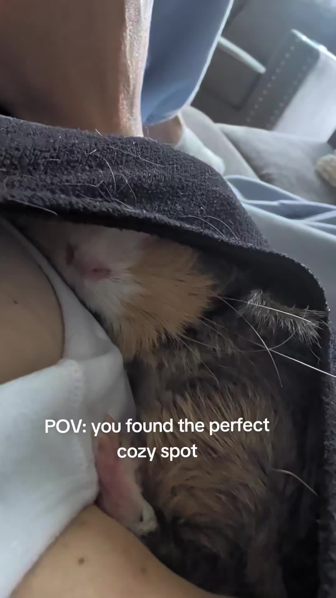 @Furry Potatoes