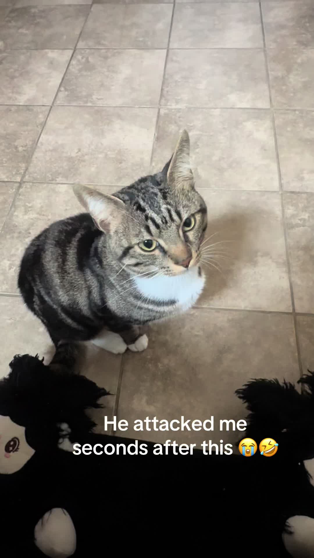 @Taka