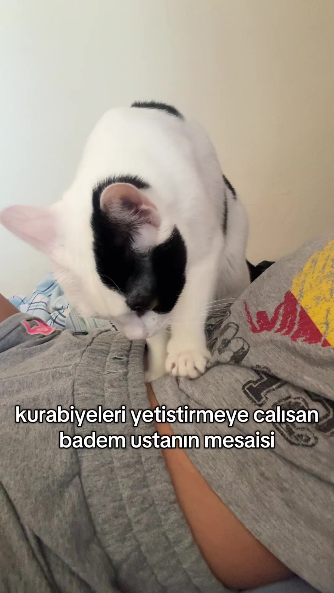 @sena