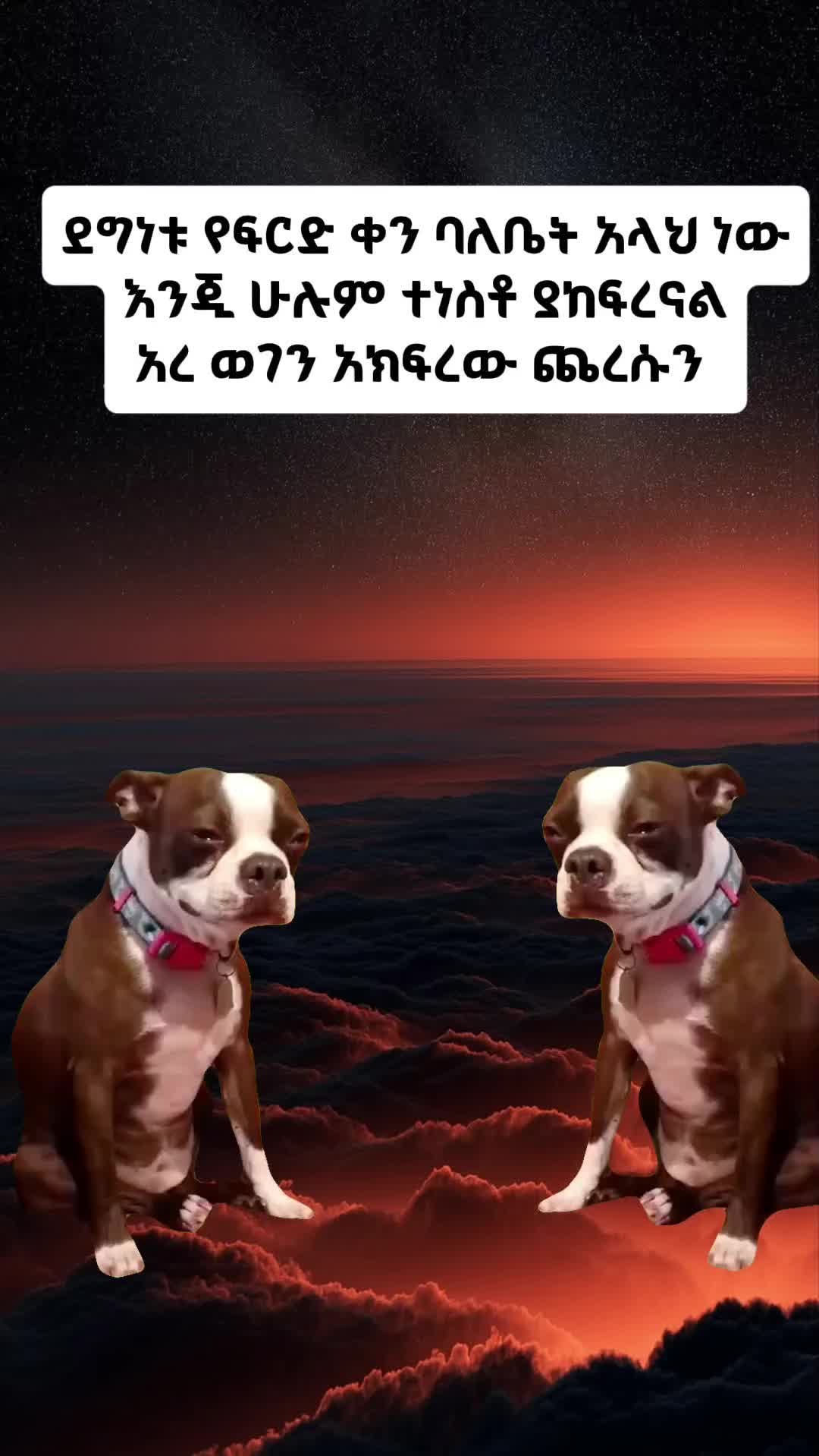 @řocky👨&zwj;✈️