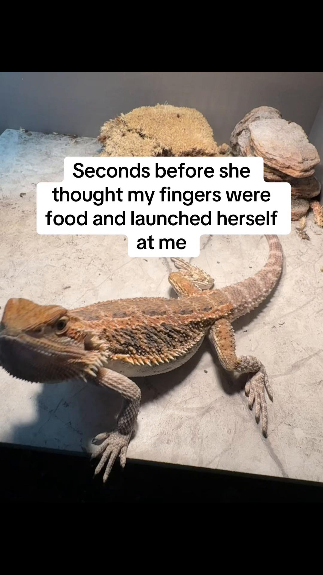 @thatsfinn_