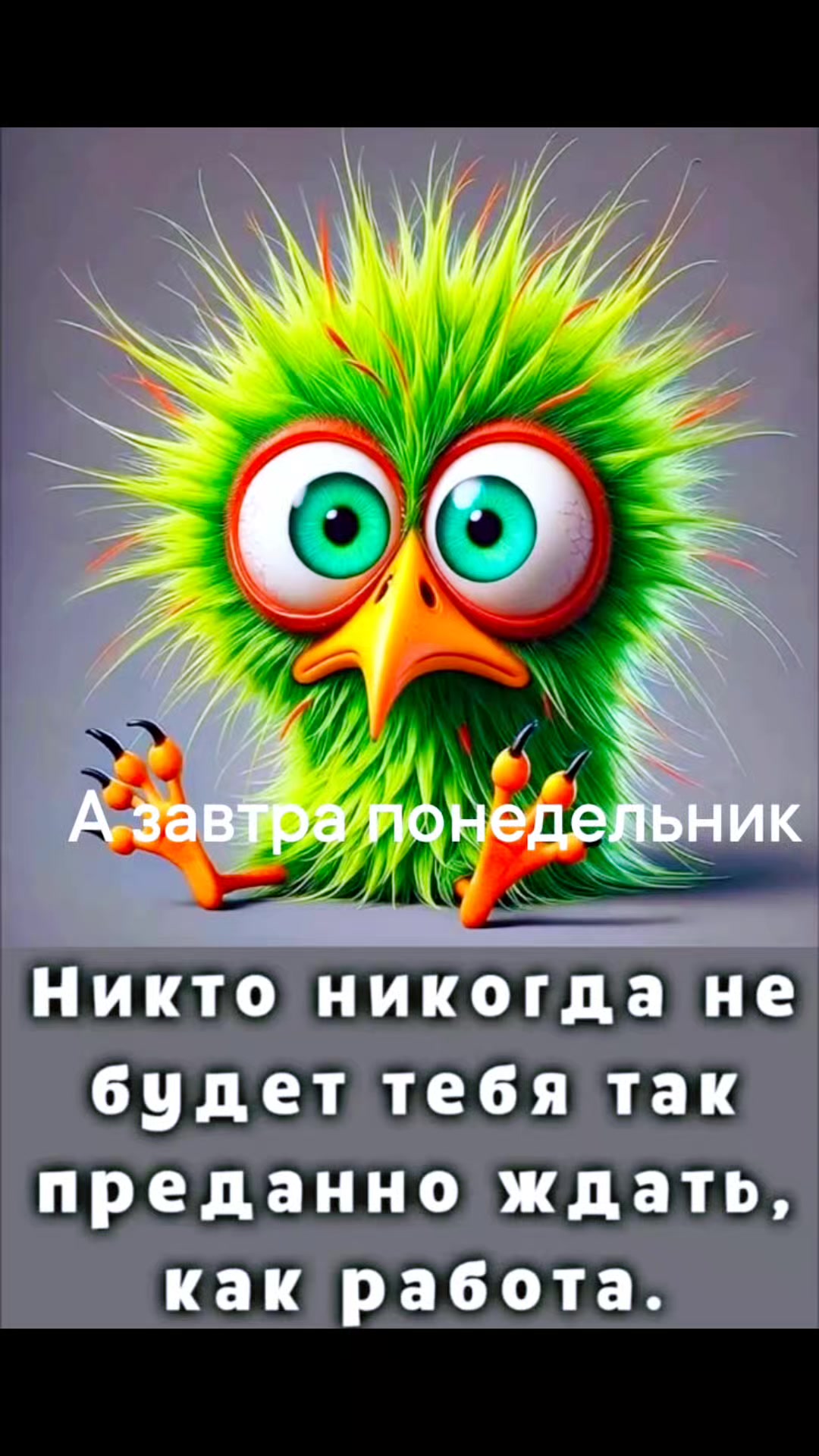 @ooopp
