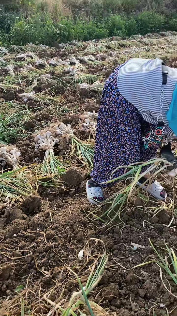 @Cennet Güzel