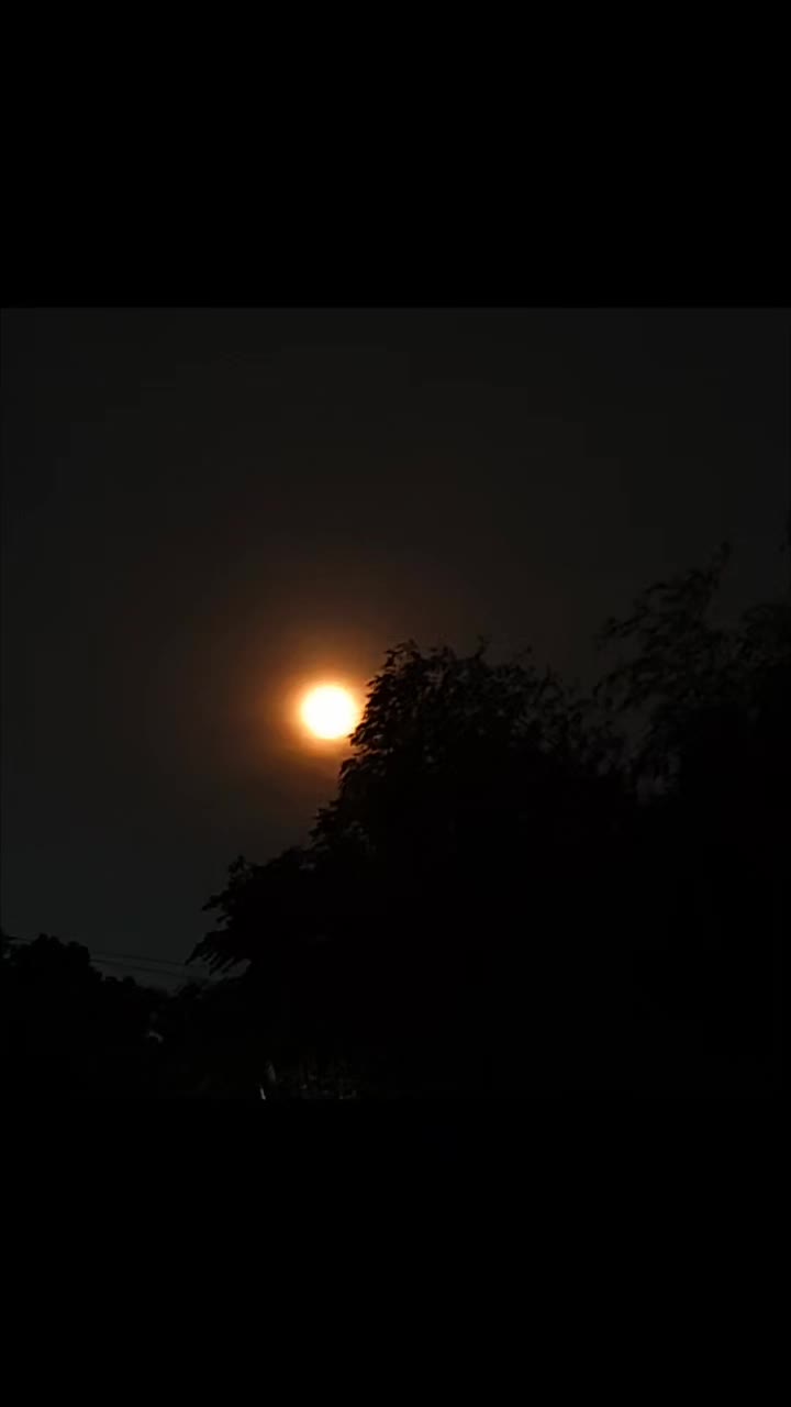 @💫 𝓘𝓻𝓮𝓷 ✨