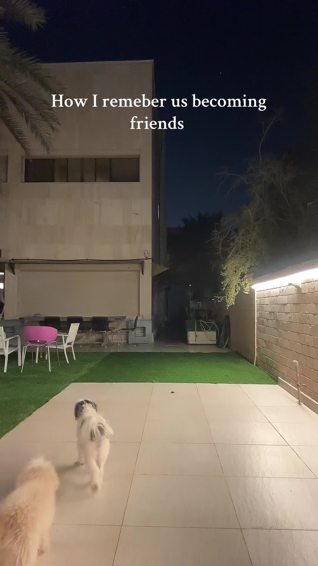 @Talia🐩