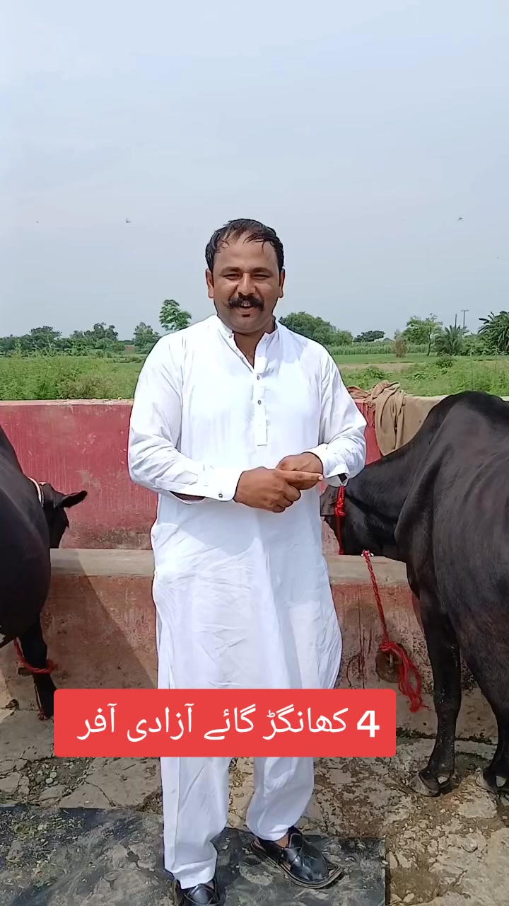@Farming and Business Ideas