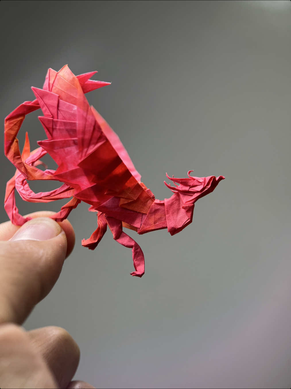 @Regalos en origami | bogota