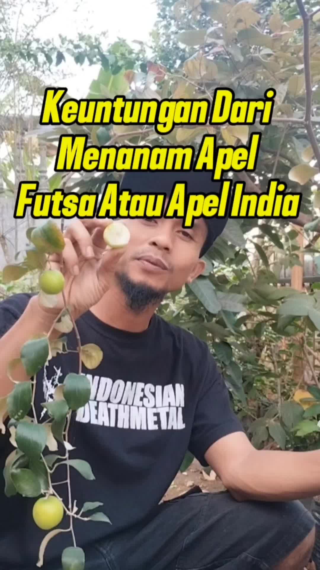 @Bukit Farming