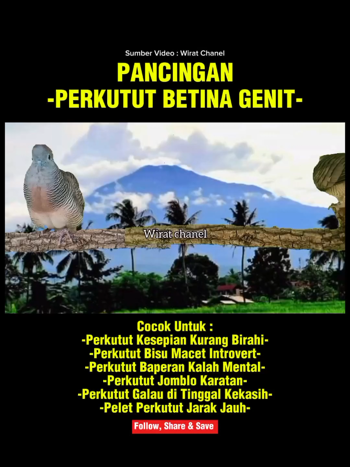@Bintang Kecil