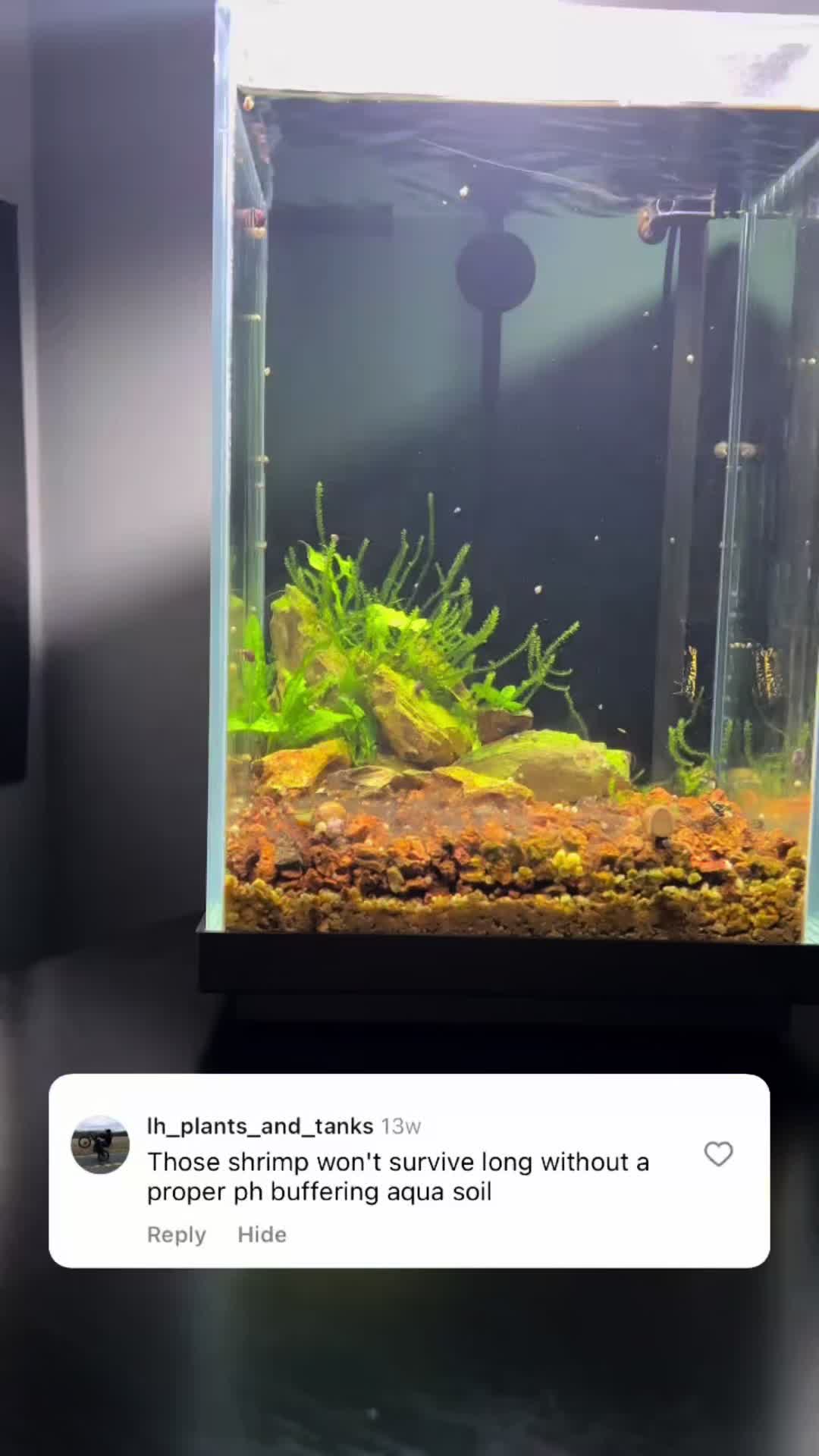@AquahavenChicago