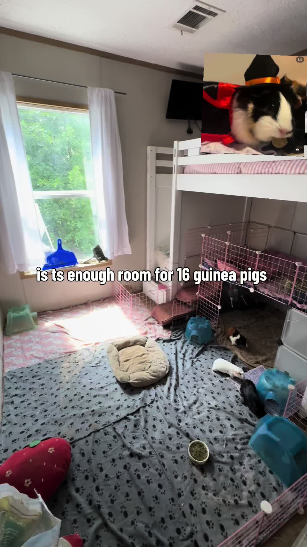 @l3ootyTicklez