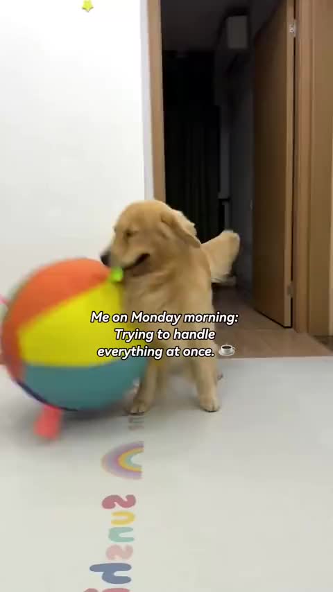 @Golden fam