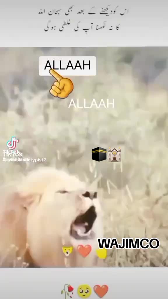 @ALI SHAKOTI