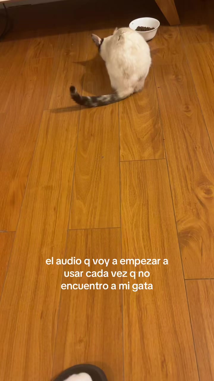 @e.r.i.k.4