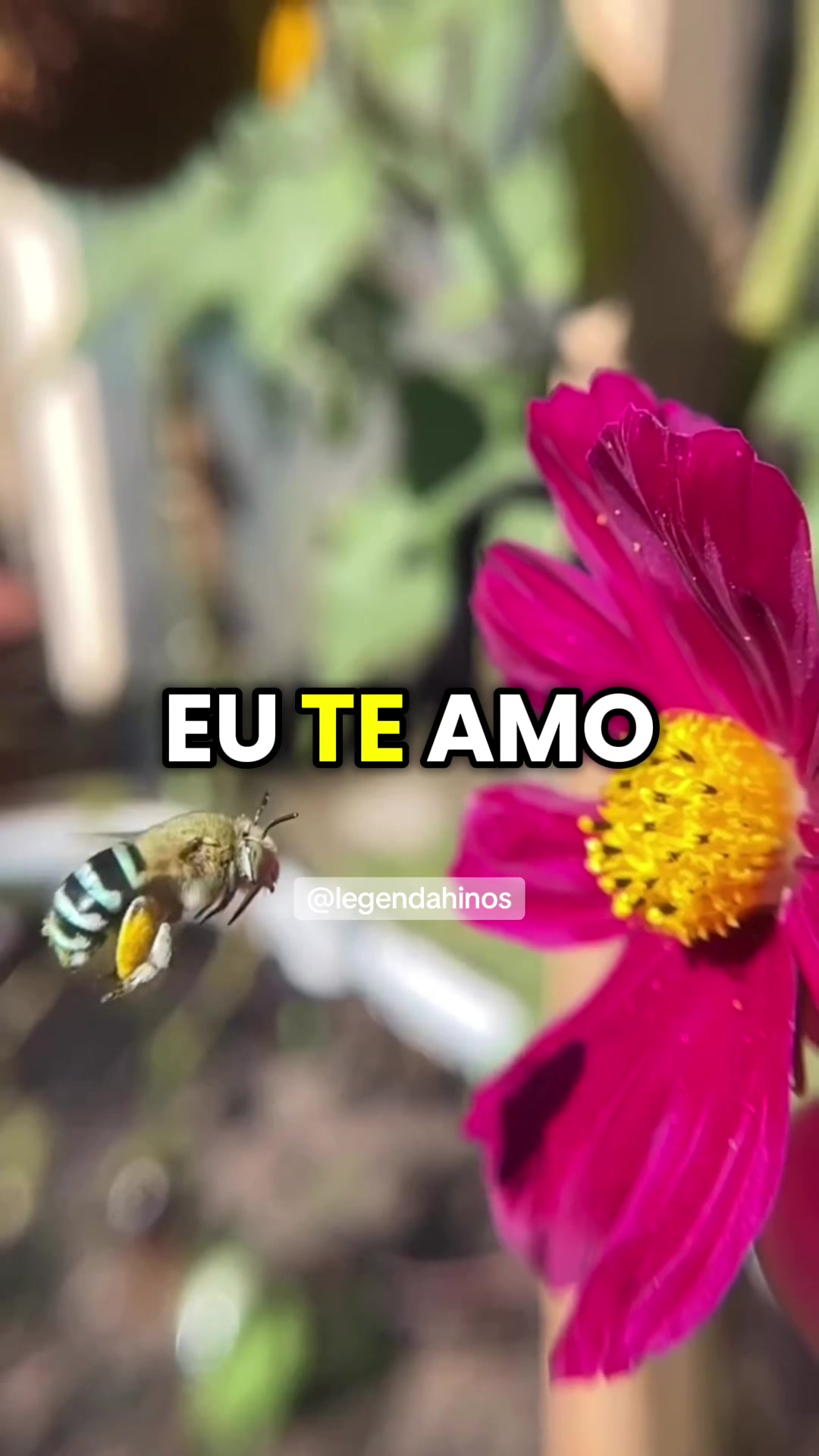 @Legendas Hinos 🙏🏽❤️