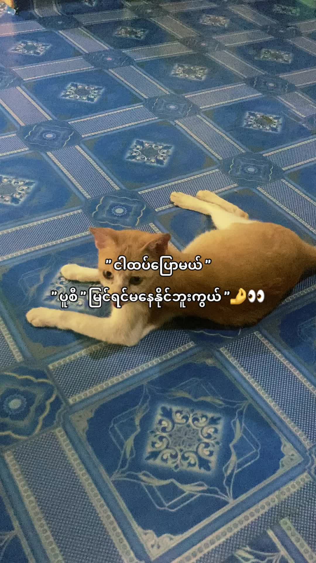 @𝐓𝐎𝐗𝐈𝐂 ⚡