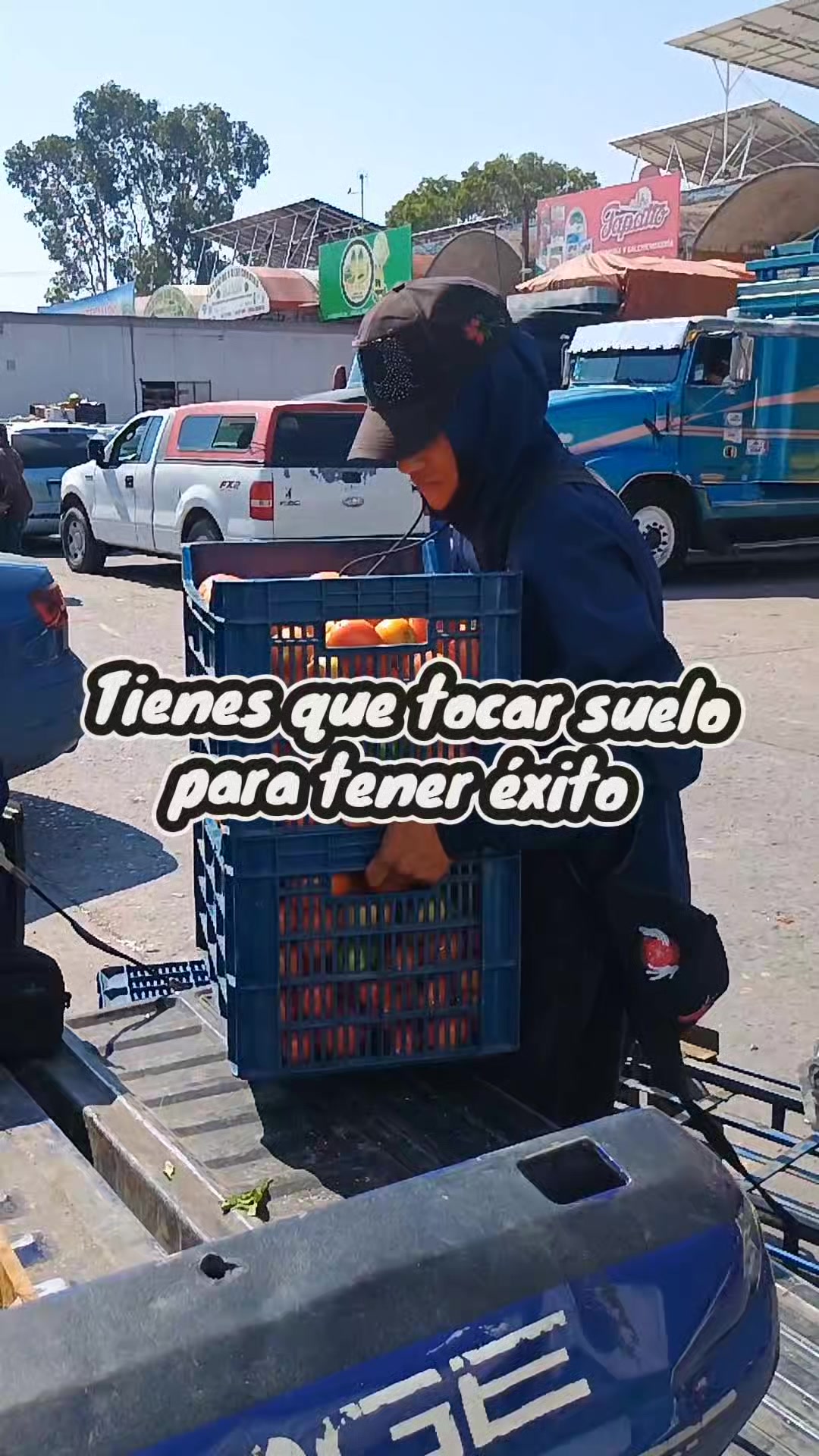 @Conecta-dos