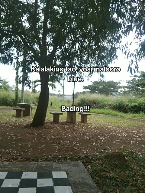 @ABEJUELA
