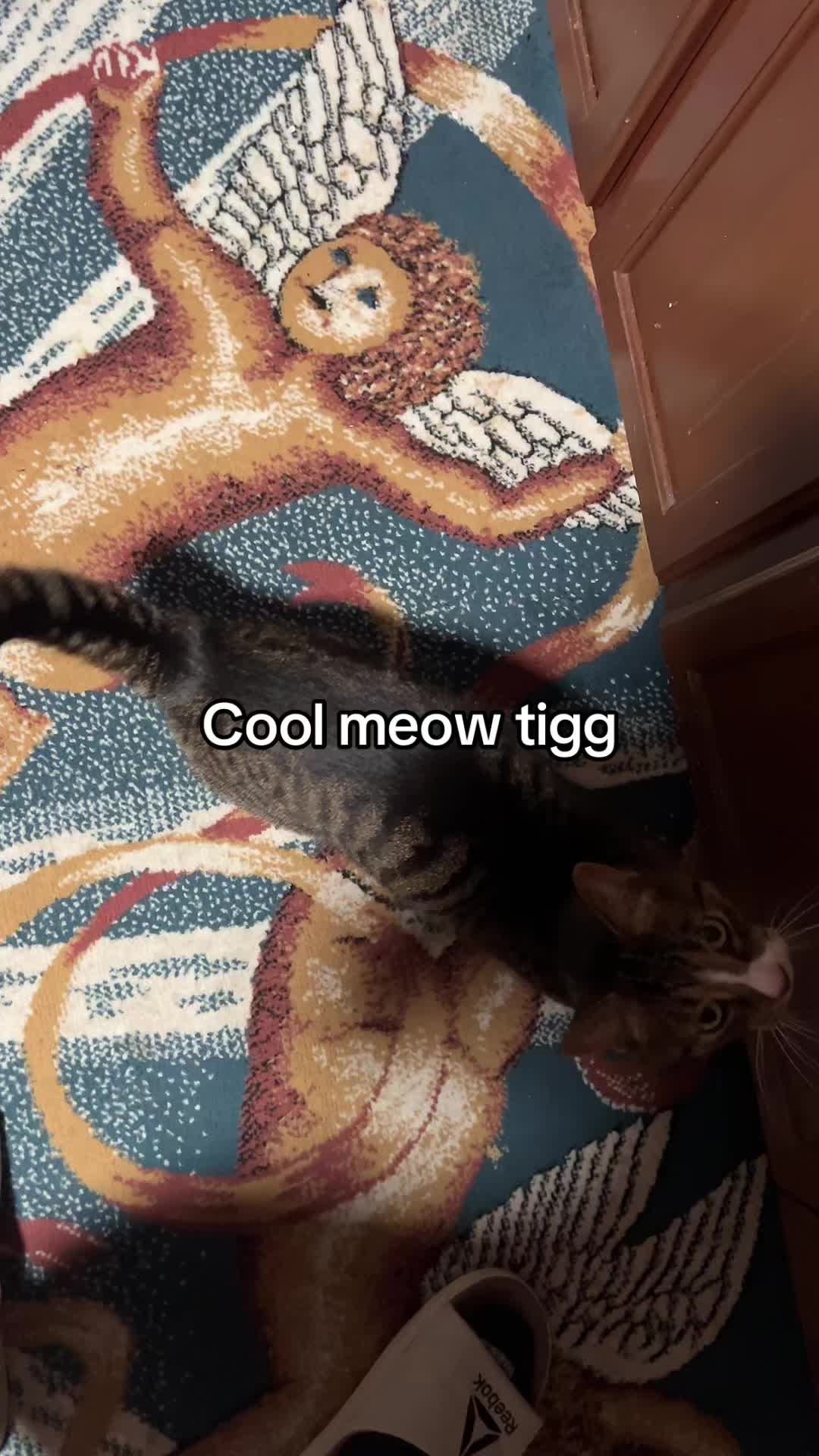 @Tiggy