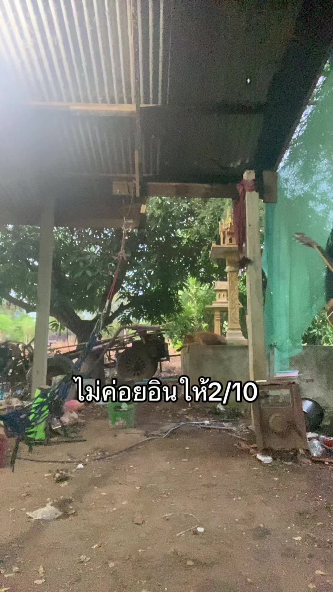 @ลูกชิ้น