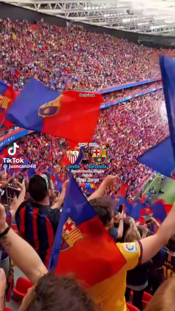 @SOL R VELIZ