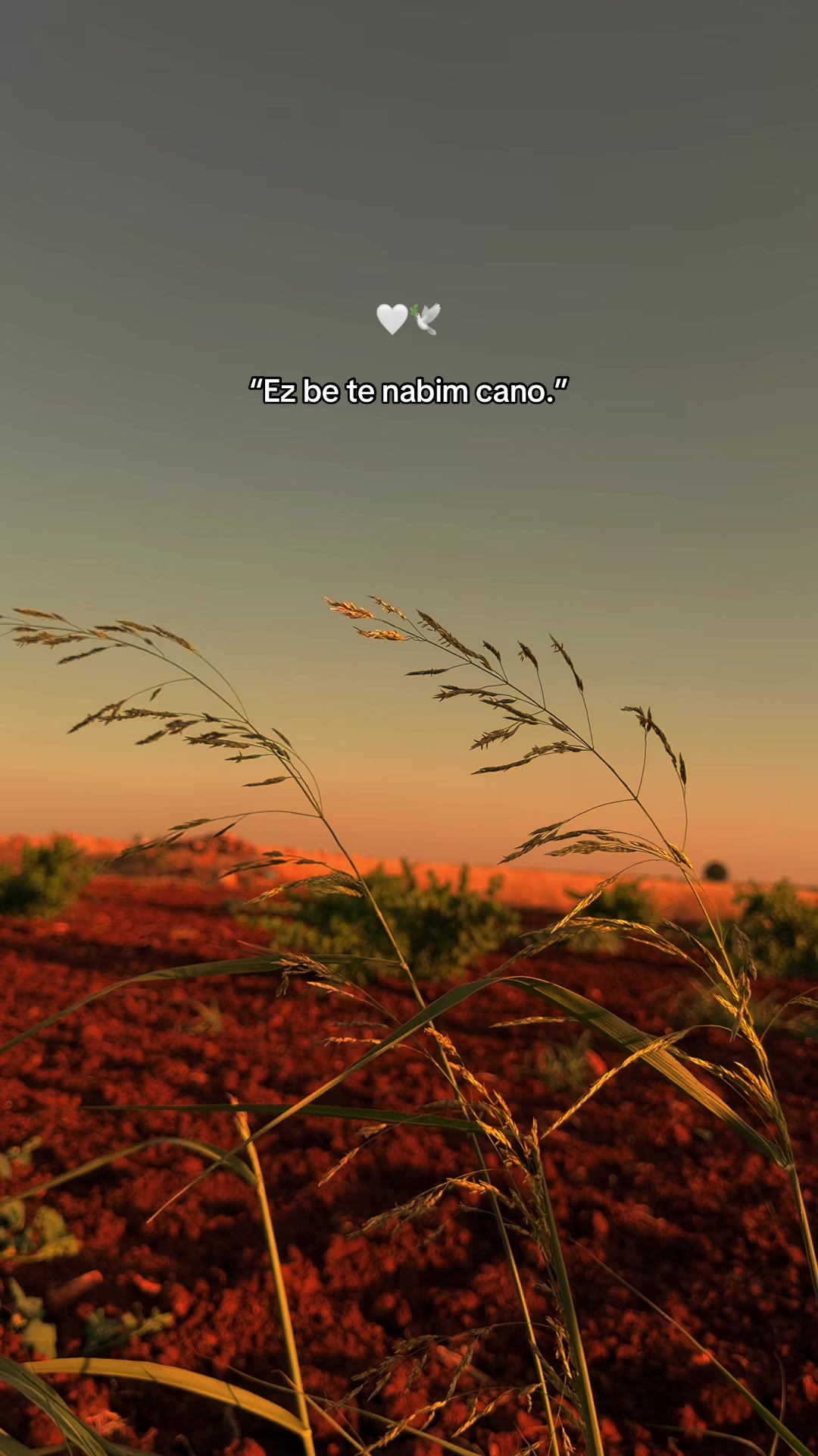 @𝓞𝓷𝓼𝓮𝓴𝓲𝔃𝓪𝓻𝓪𝓵ı𝓴