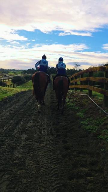 @kevin 🏆🏇🏇🏇🏆 🇸🇬🇲🇾🇳🇿