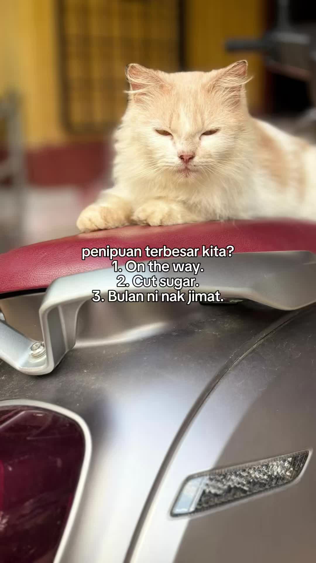 @Mohd Nor Fikri II