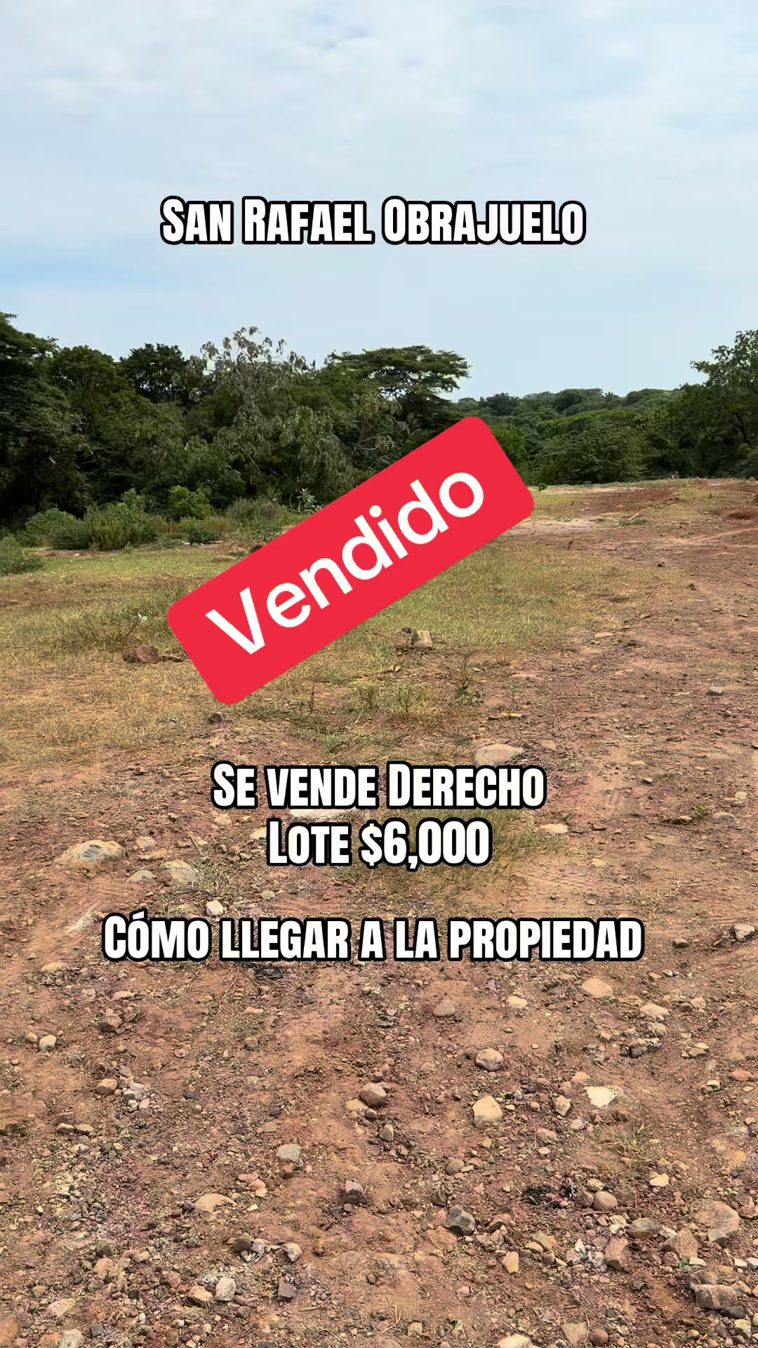 @Marco Ortiz🧸
