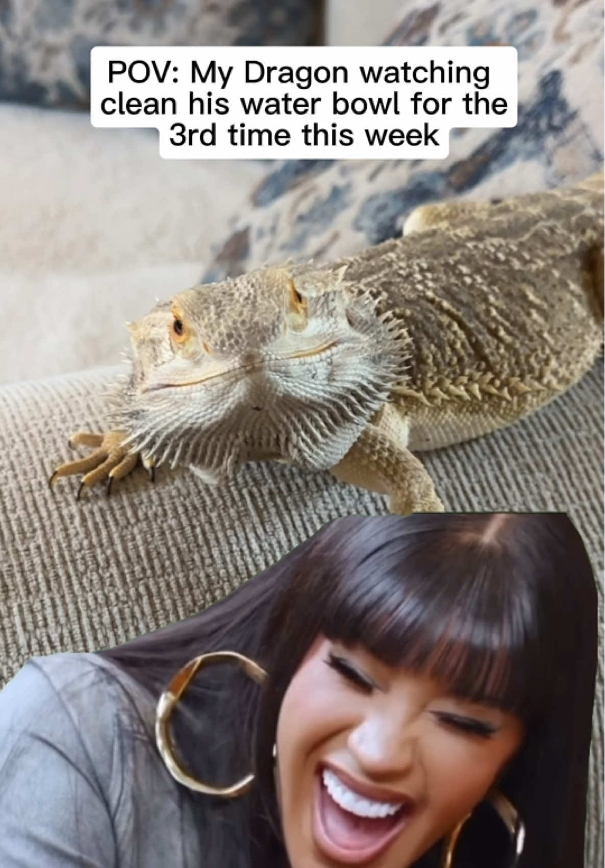 @Lil_desert_hobo