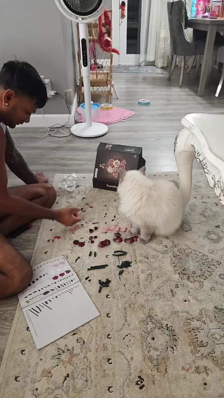 @ꪜꪖꪶꫀ𝘳𝓲ꫀ 🎀