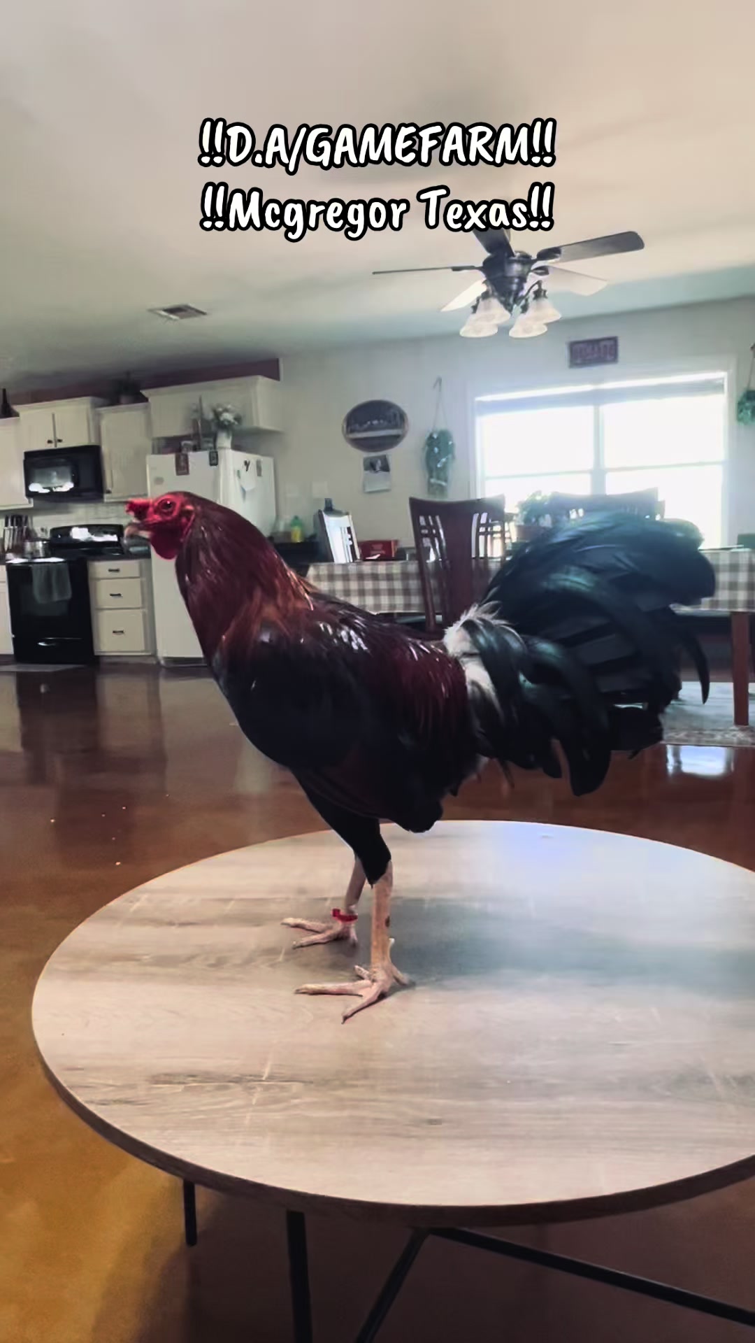 @DAgamefarm