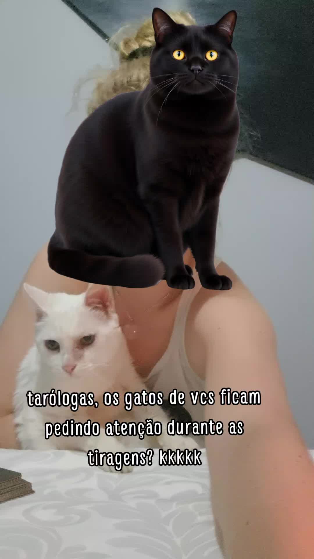 @Bia de Quit&eacute;ria 🐈&zwj;⬛