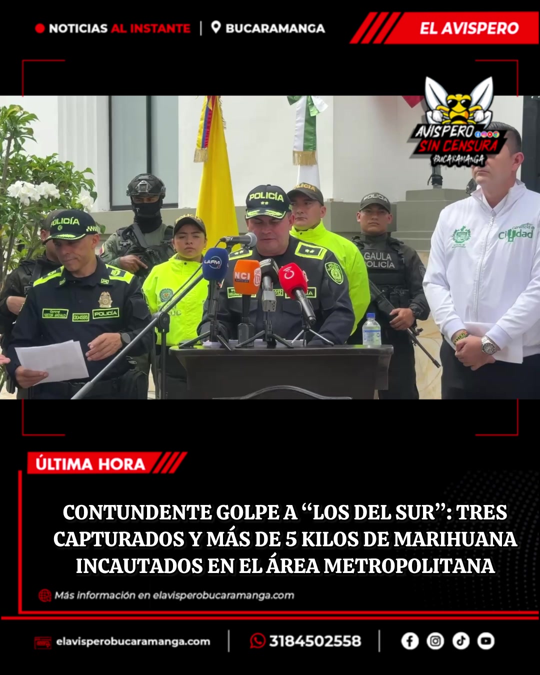 @avisperobucaramanga