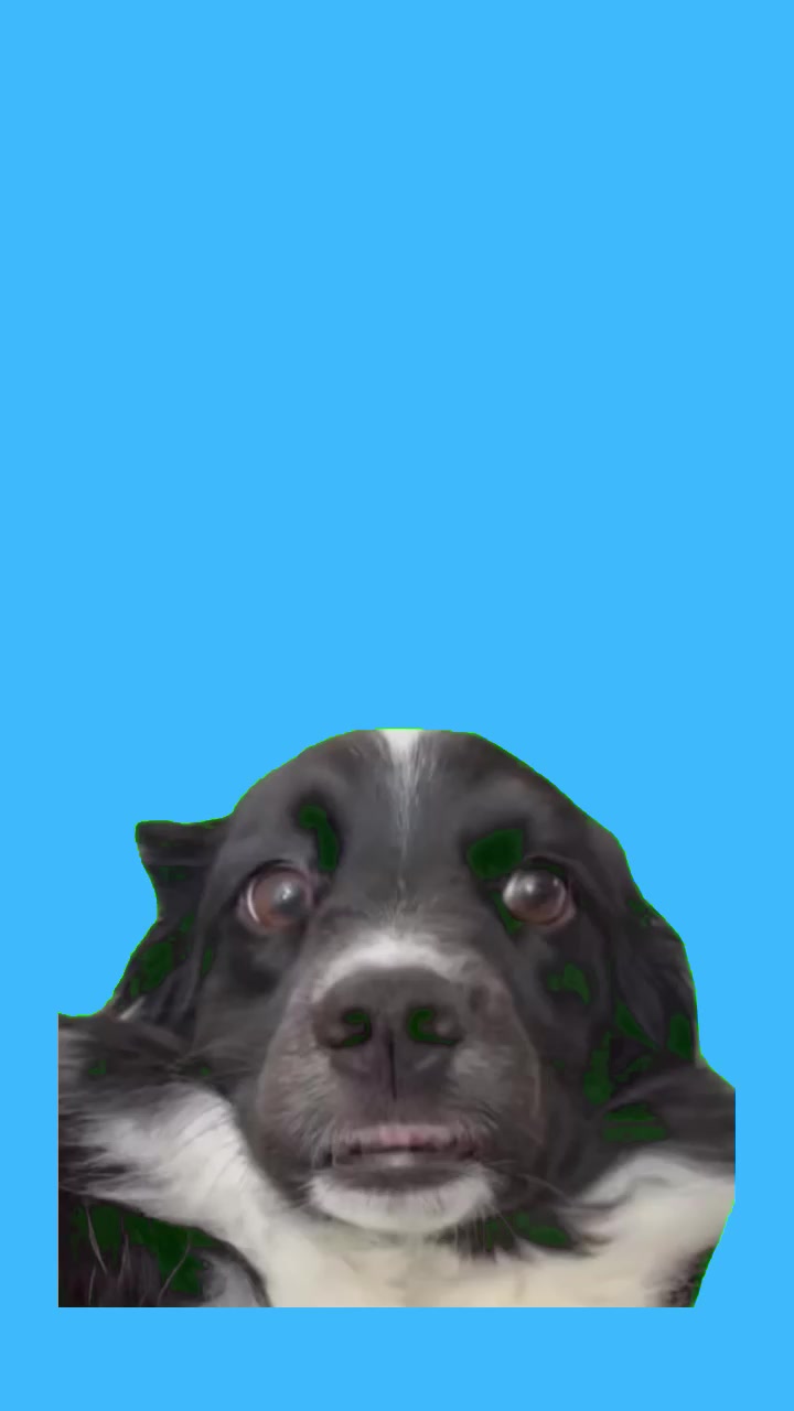 @Plantilla verde (memes)