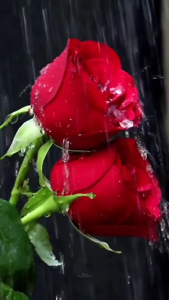 @md.mainul.11